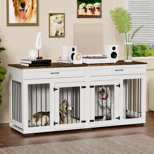 Dog kennel clearance desk